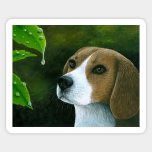 Dog 116 Beagle Sticker